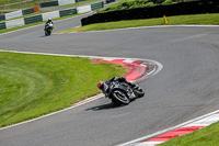 cadwell-no-limits-trackday;cadwell-park;cadwell-park-photographs;cadwell-trackday-photographs;enduro-digital-images;event-digital-images;eventdigitalimages;no-limits-trackdays;peter-wileman-photography;racing-digital-images;trackday-digital-images;trackday-photos